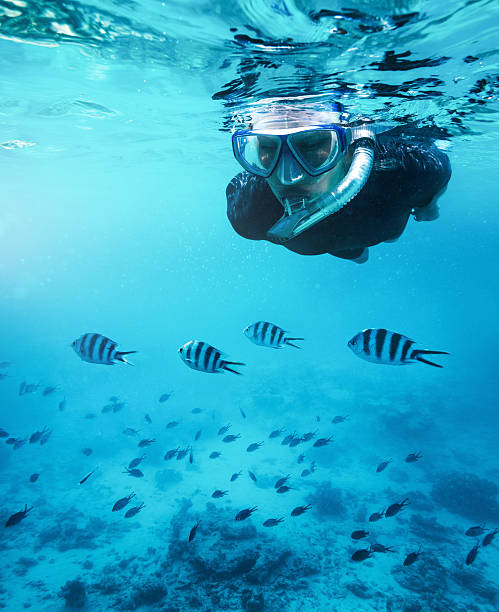 Mnemba Atoll